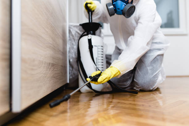 Best Local Pest Control Services  in Southwest Ranches, FL
