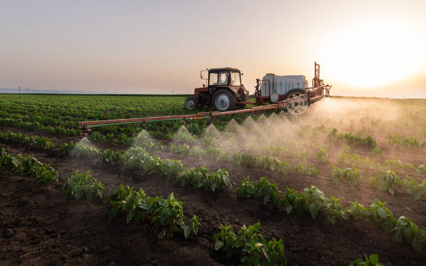 Best Best Pest Control Companies  in Southwest Ranches, FL