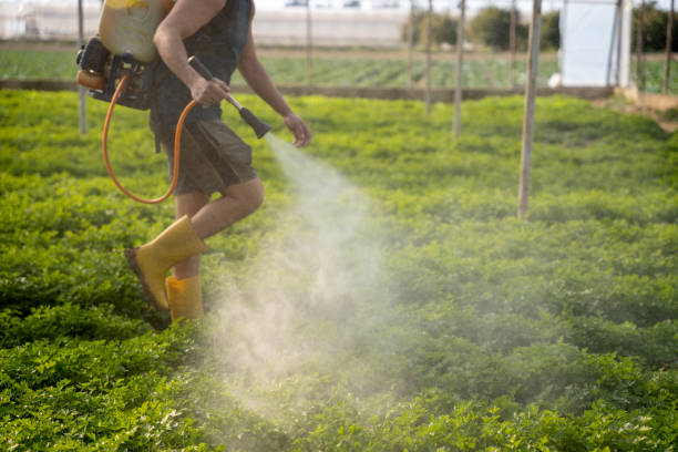 Best Ant Control Services  in Southwest Ranches, FL