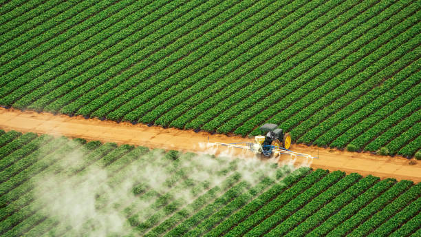 Best Pest Prevention Services  in Southwest Ranches, FL